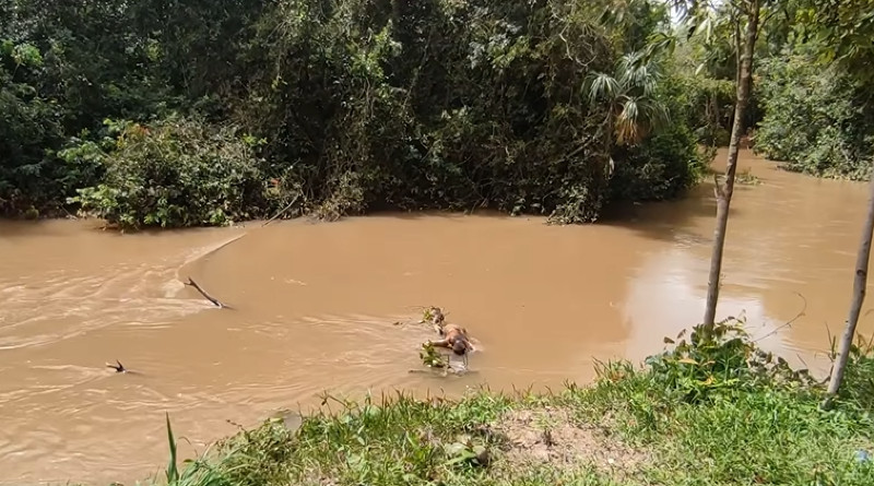 Evang Licos Encontraram Corpo Tiros Na Cabe A E M Os Amarradas Em