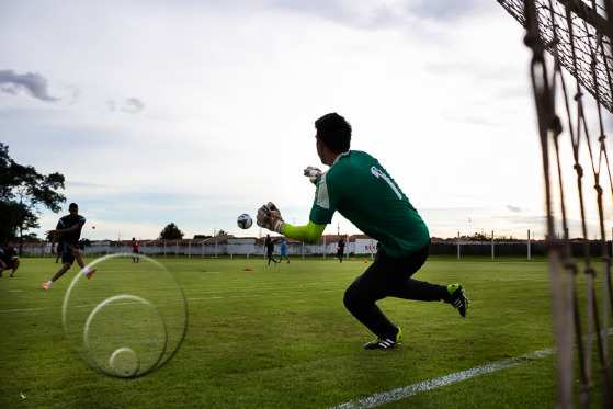 Palmeiras/torcida/treino
