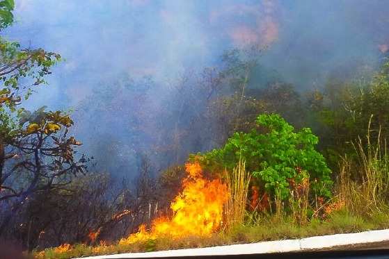Chapada dos Guimarães/parque nacional/queimadas/incêndio