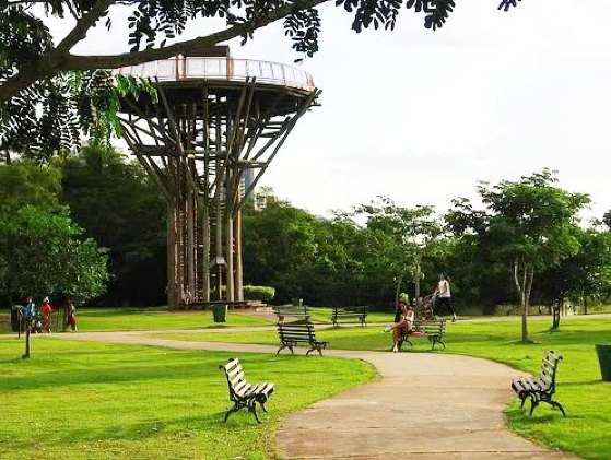 mae bonifacia/parque