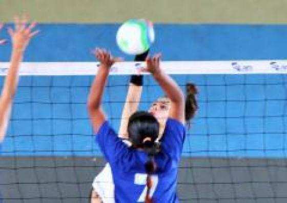Volei