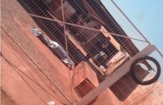 Homic&iacute;dio Lava a jato vg