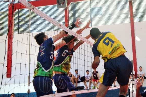 Volei 