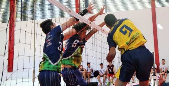 Volei