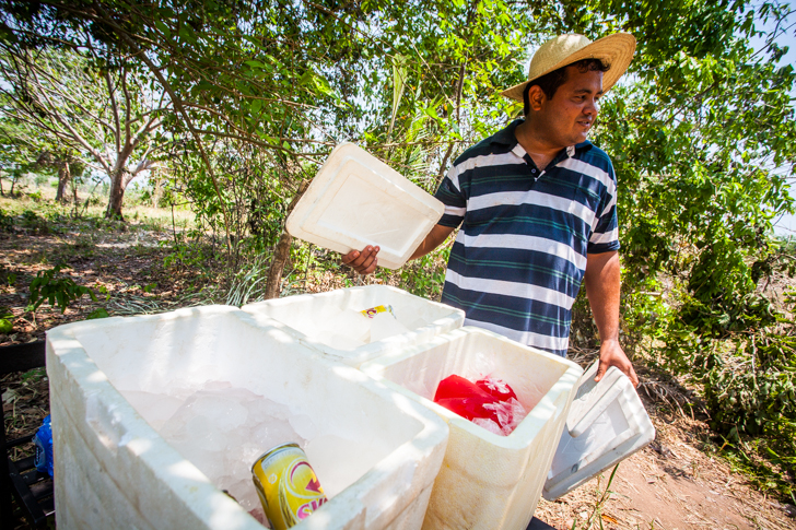 garimpo - pontes e lacerda
