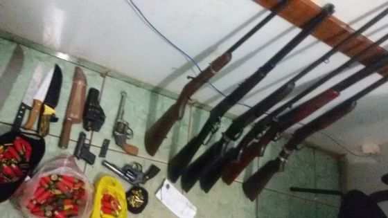 GADO NOVA MUTUM 2