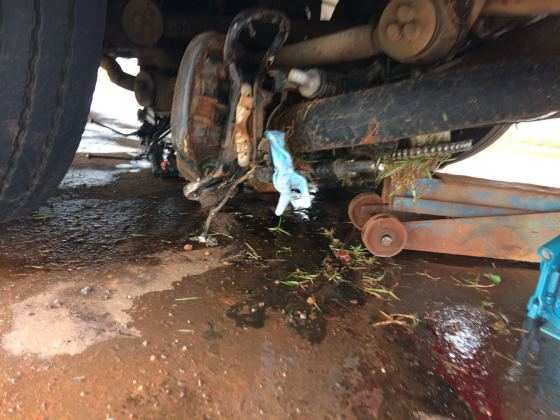 acidente moto onibus tangara da serra
