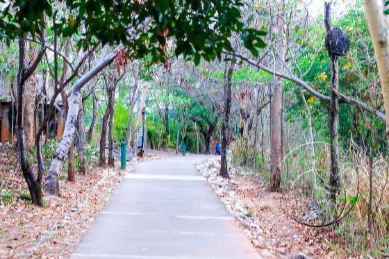 parque massairo okamura 