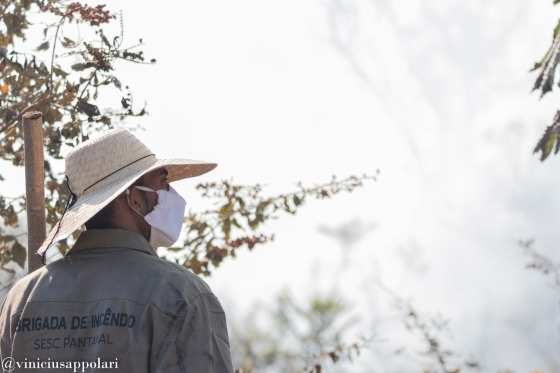 Queimadas / Inc&ecirc;ndio no Pantanal