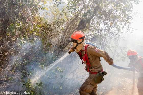 Queimadas / Incêndio no Pantanal