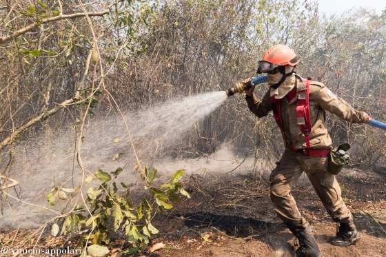 Inc&ecirc;ndio no Pantanal