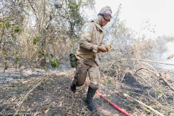 Inc&ecirc;ndio no Pantanal