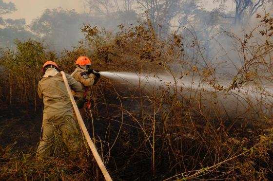 Combate aos incêndios no Pantanal, em Poconé.jpg