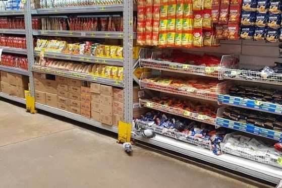 POMBO EM MERCADO