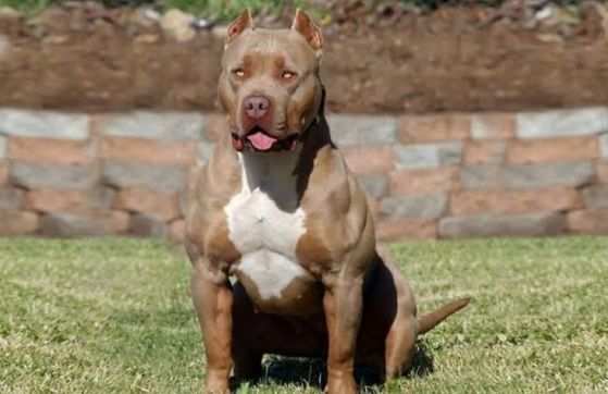 Imagem Ilustrativa/Reprodução