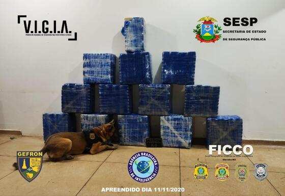 apreensao cocaina