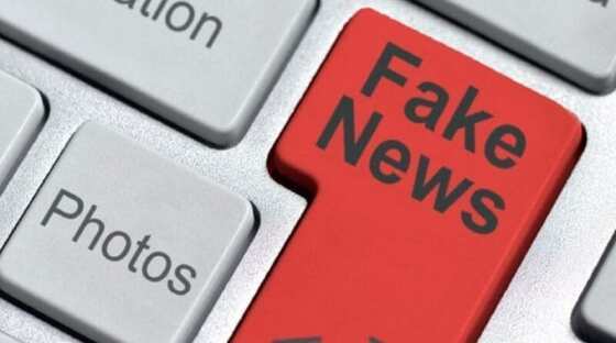 fake news 