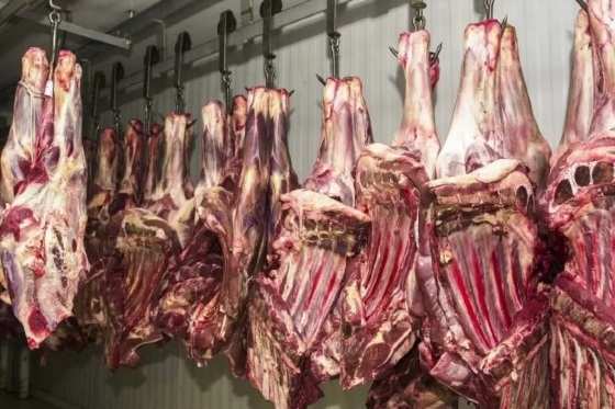 carne 
