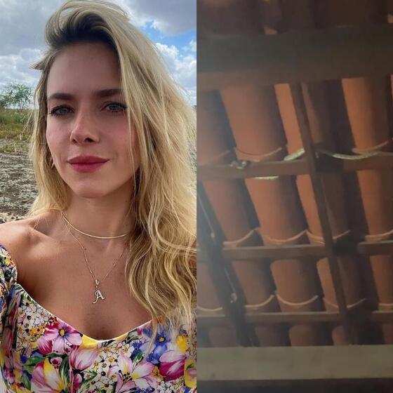 Monique Alfradique