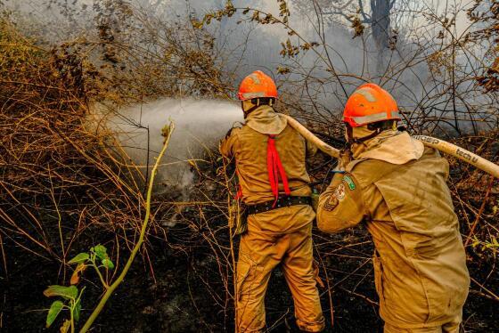 bombeiros MT