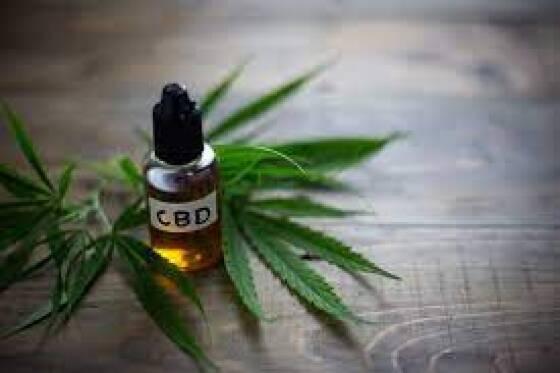 canabidiol maconha