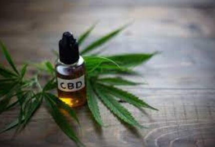 canabidiol maconha