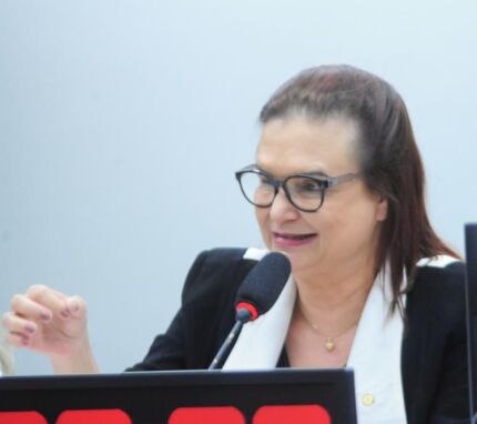 Rosa Neide 