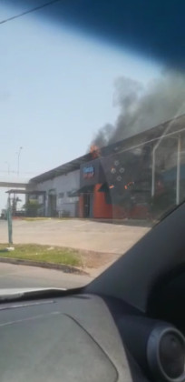 fogo pet shop 