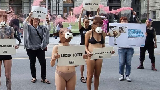 MANIFESTÇAÕ ONG 
