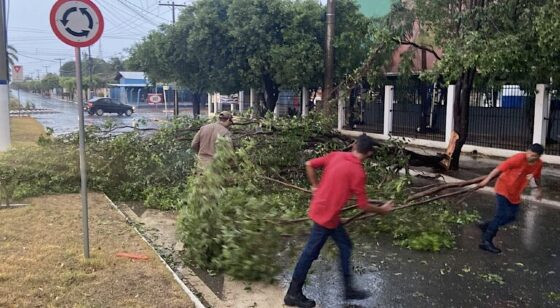 Temporal-vendaval-em-Sorriso-setembro-2022.-4-768x422.jpg