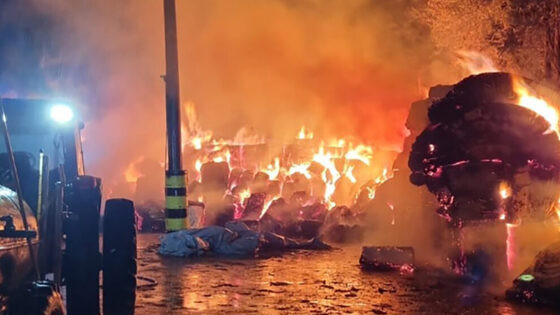 Incêndio algodoeira lucas