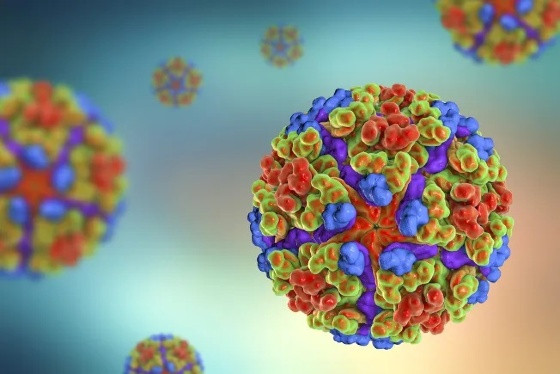CHIKUNGUNYA