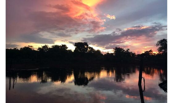 nascer do sol no cerrado