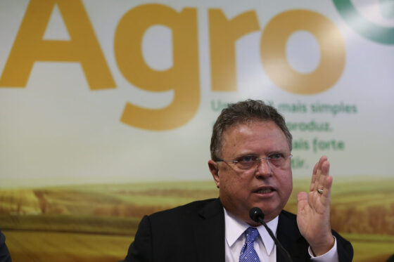 blairo maggi