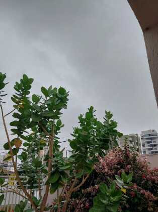 CHUVA CUIABÁ