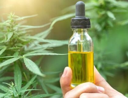 cannabis medicinal