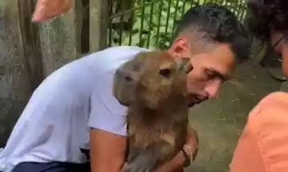 agenor recupera guarda filó capivara