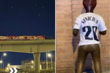 BONECO VINI JR