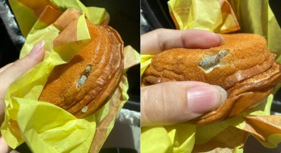 PÃO DE LANCHE COM LARVA