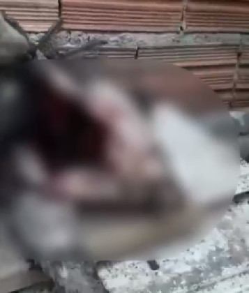 Chupa cabra da guia