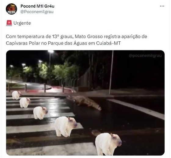 memes frios