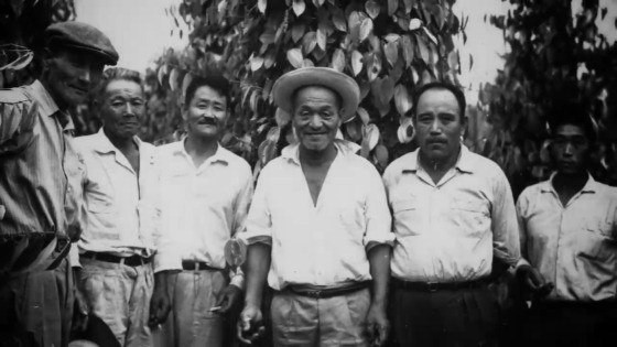 Colonos japoneses na Gleba Rio Ferro 