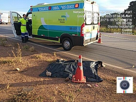 Homem atropelado Nova Rota