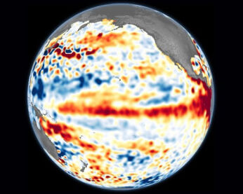 El niño