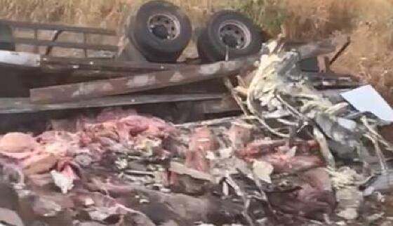 caminhao tomba mata condutor