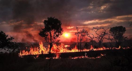 Incêndio queimadas fogo 