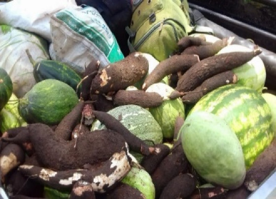 Alimentos Gleba Carlos Pelissioli 