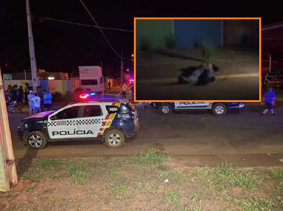 Morto com golpes de faca 