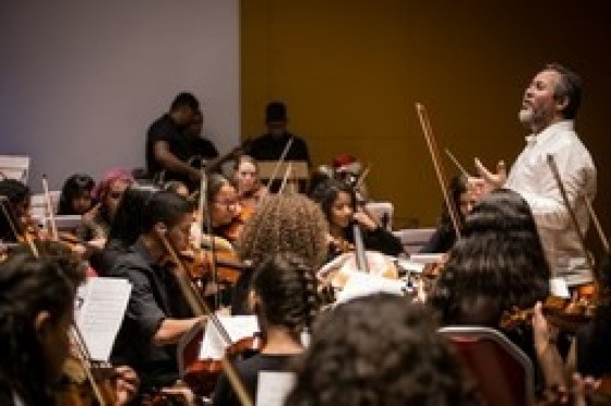 Baguncinha, O Festival - Instituto Ciranda
