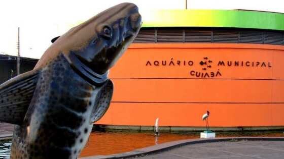  aquario-municipal-cuiaba-hnt